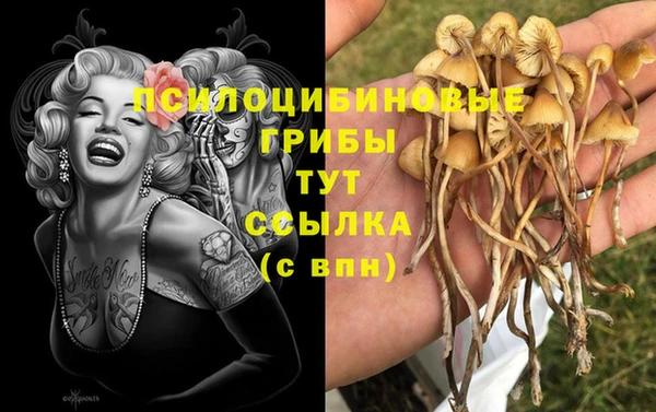 эйфоретик Семилуки