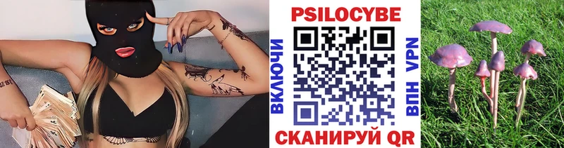 Псилоцибиновые грибы прущие грибы  Купить  Шарья 